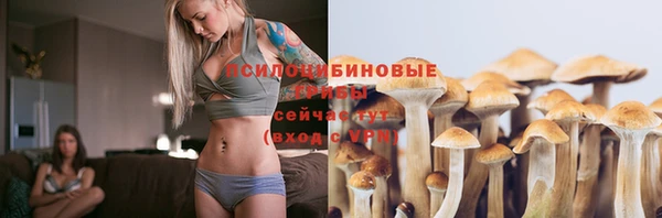 кокс Алзамай